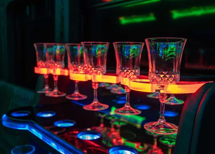 20 Passenger Party Bus gallery image 10 for limousine service in Halton Hills