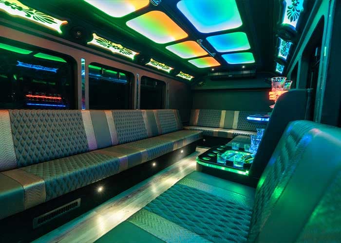 20 Passenger Party Bus gallery image 7 for limousine service in Halton Hills
