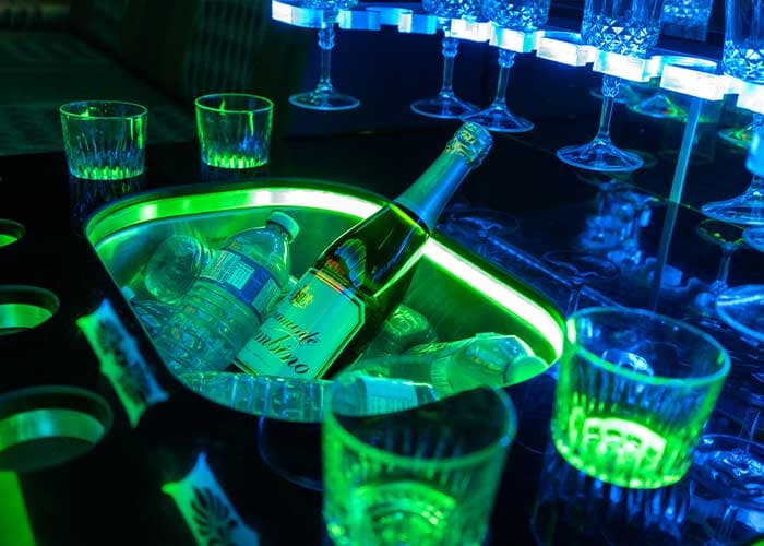 20 Passenger Party Bus gallery image 9 for limousine service in Halton Hills