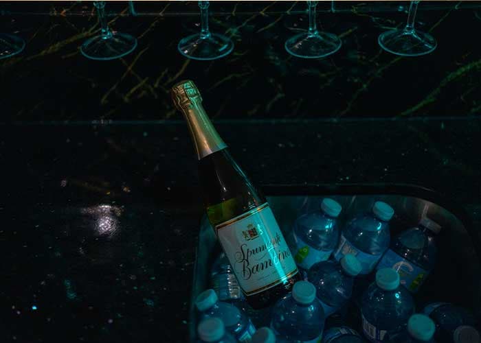 45/50 Passenger Party Bus gallery image 5 for limousine service in Halton Hills