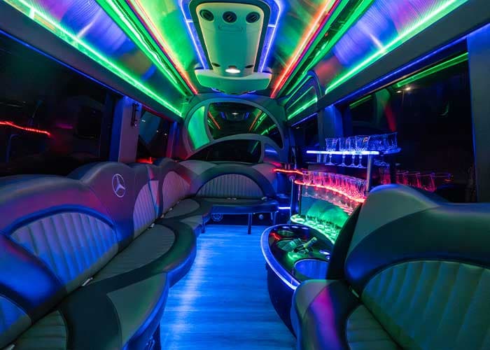 15 Passenger Mercedes Sprinter Van gallery image 10 for limousine service in Halton Hills