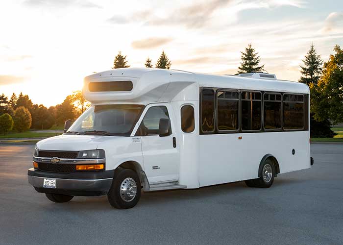 20 Passenger Party Bus